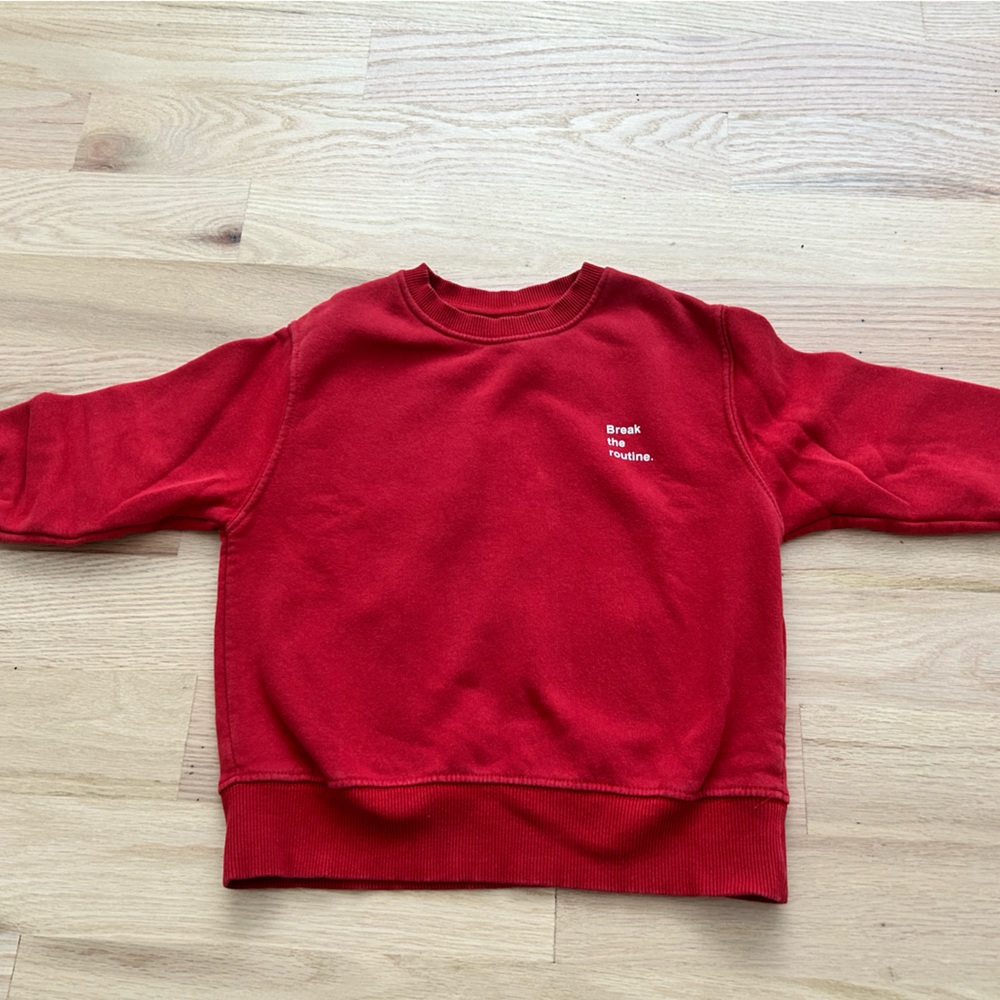 Zara boy sweatshirt
